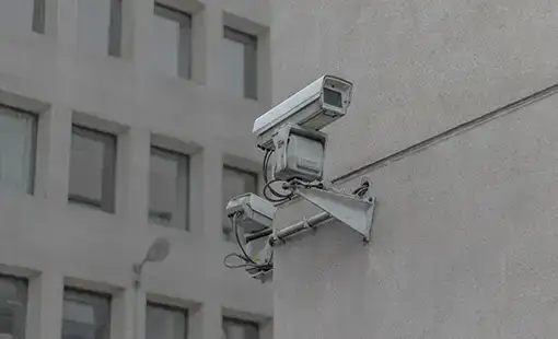 Snehkiran Waghbil Images Snehkiran Waghbil Images